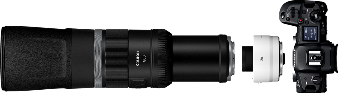 RF800mmレンズ・エクステンダー2×
