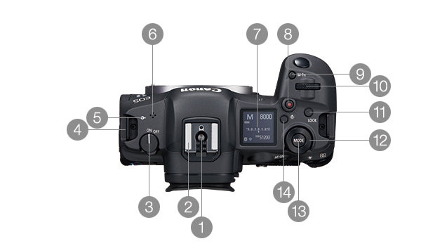 EOS R5 上面