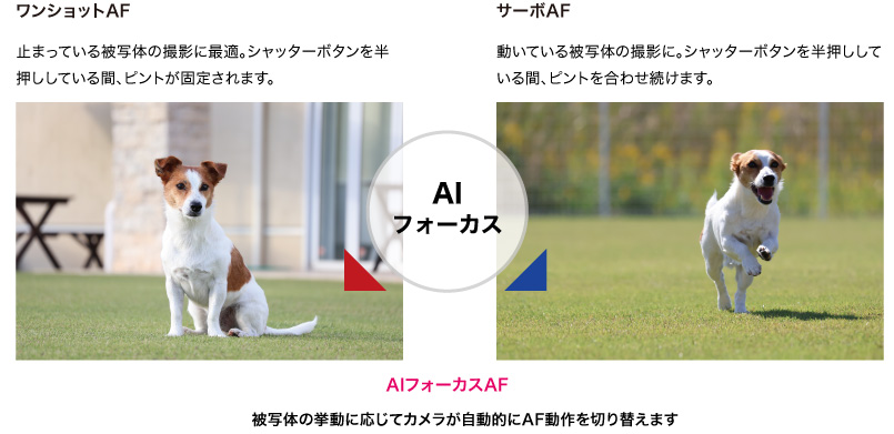 ワンショットAF 止まっている被写体の撮影に最適。シャッターボタンを半押ししている間、ピントが固定されます。 サーボAF 動いている被写体の撮影に。シャッターボタンを半押ししている間、ピントを合わせ続けます。 AIフォーカスAF 被写体の挙動に応じてカメラが自動的にAF動作を切り替えます