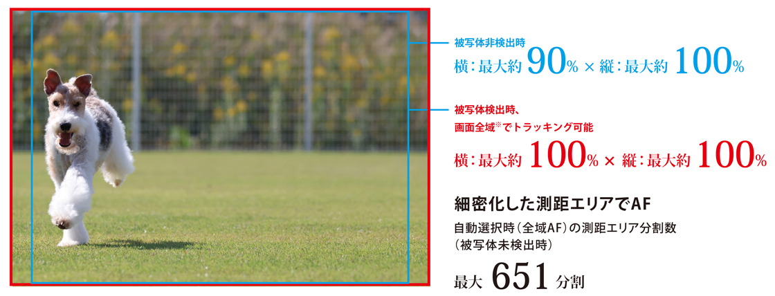 被写体非検出時 横:最大約90%×縦:最大約100% 被写体検出時、画面全域※でトラッキング可能 横:最大約100%×縦:最大約100% 細密化した測距エリアでAF 自動選択時(全域AF)の測距エリア分割数(被写体未検出時) 最大651分割