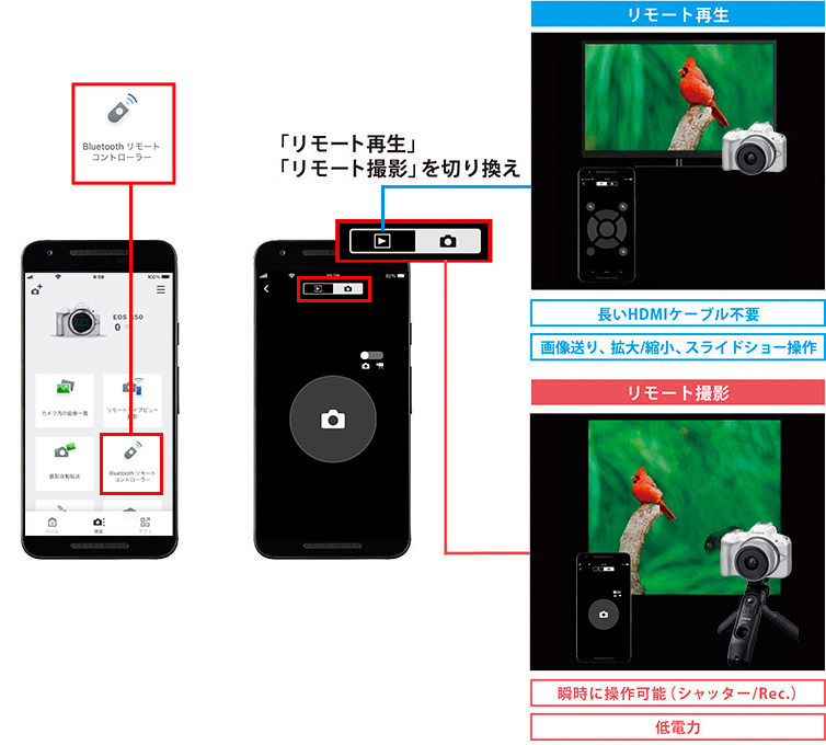 スマホ＆クラウド連携 EOS R50：レンズ交換式カメラ・レンズ｜個人｜キヤノン