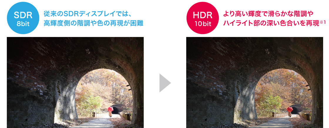 SDR 8bit 従来のSDRディスプレイでは、高輝度側の階調や色の再現が困難 HDR 10bit より高い輝度で滑らかな階調やハイライト部の深い色合いを再現※1