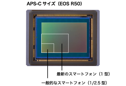 APS-Cサイズ（EOS R50）一般的なスマートフォン（1／2.5型）最新のスマートフォン（1型）
