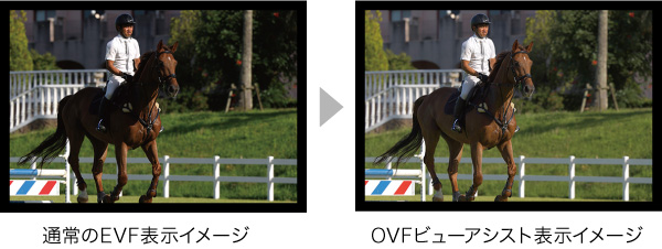 通常のEVF表示イメージ OVFビューアシスト表示ページ