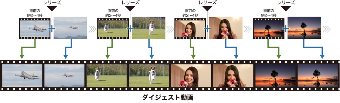 ダイジェスト動画