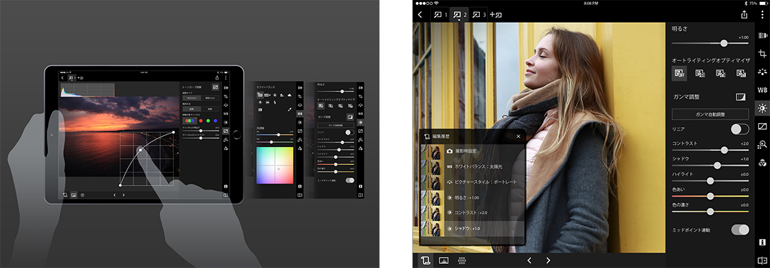 Digital Photo Professional Express