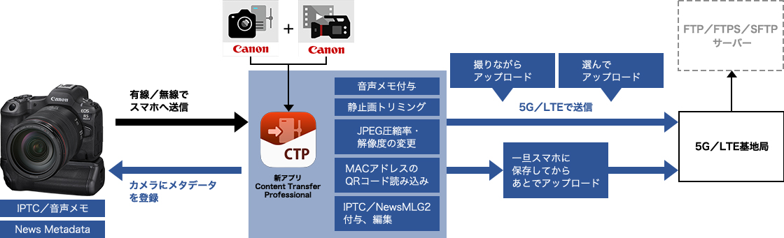 Content Transfer Professional