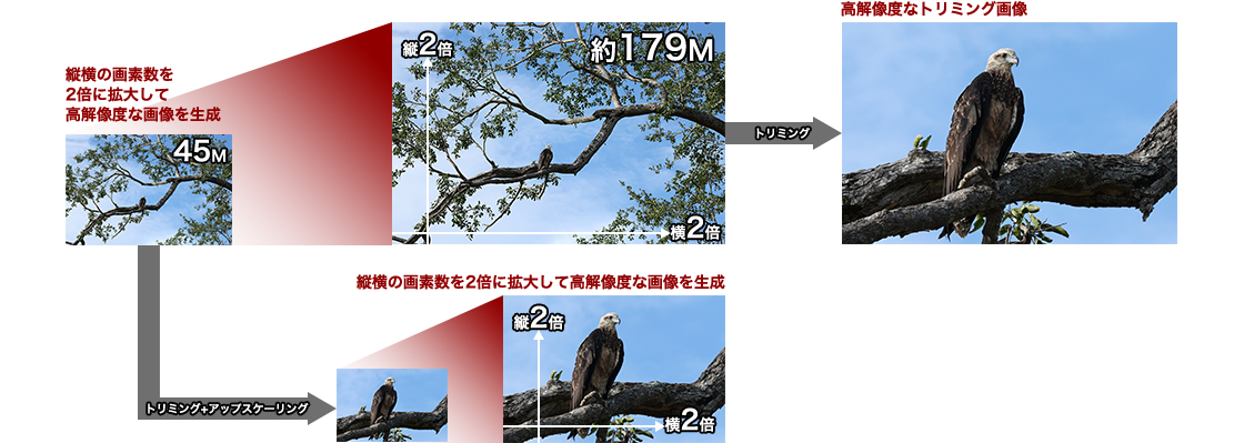 カメラ内アップスケーリング