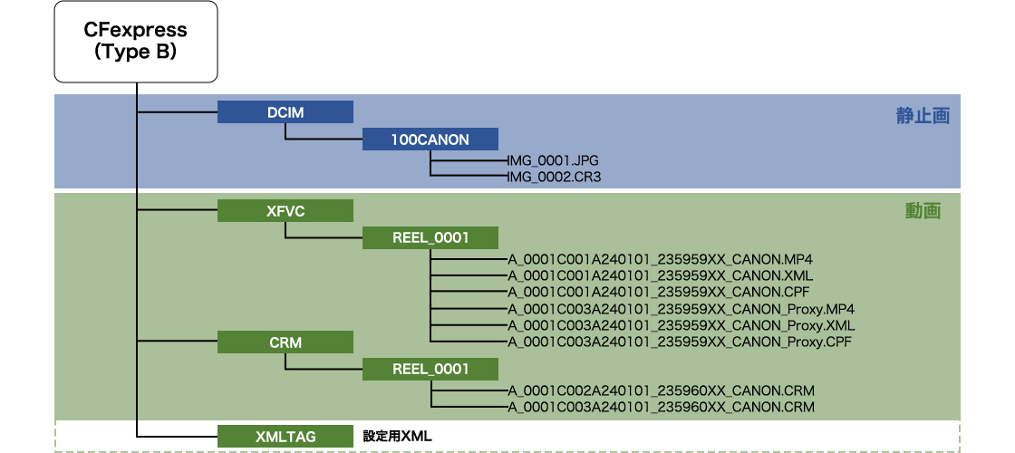 XF-HEVC S/XF-AVC S