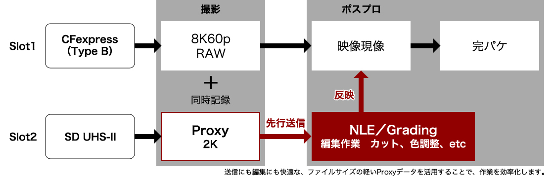 Proxy動画
