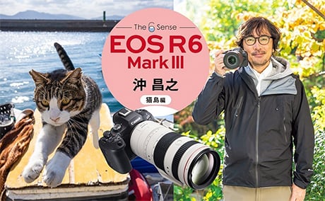 EOS R6 MarkIII 沖 昌之 猫島編