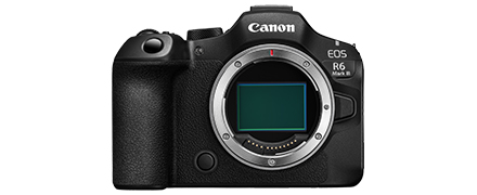 商品構成 EOS R6 Mark III：レンズ交換式カメラ・レンズ｜個人
