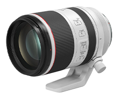 レンズ・アクセサリー EOS R7：レンズ交換式カメラ・レンズ