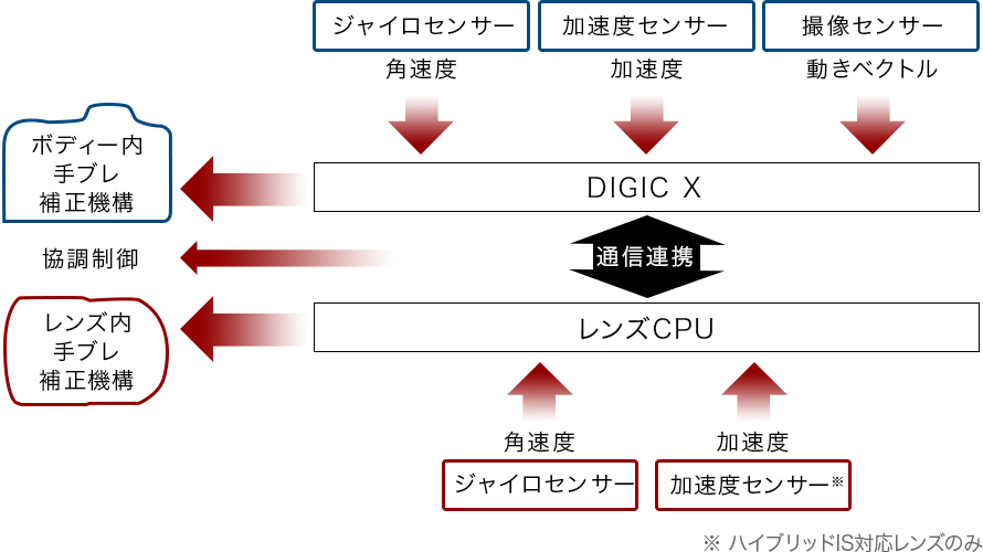 ※ハイブリッドIS対応レンズのみ