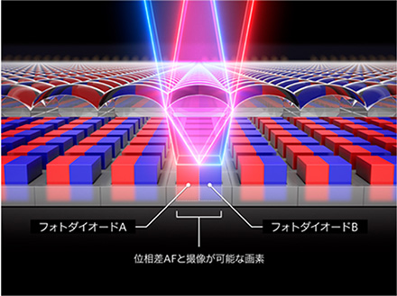 フォトダイオードA 位相差AFと撮像が可能な画素 フォトダイオードB
