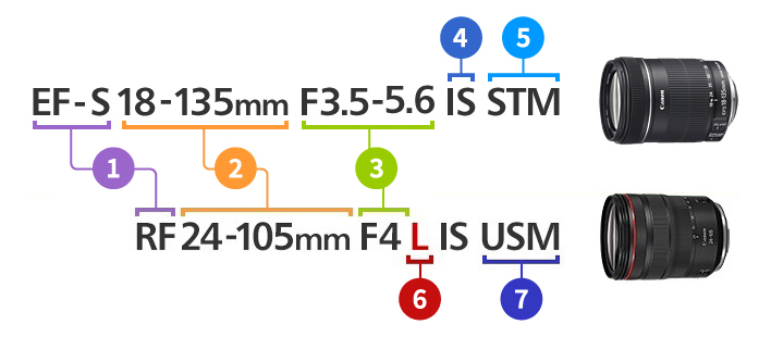 EF-S（1）18-135mm（2）F3.5-5.6（3）IS（4）STM（5）／RF（1）24-105mm（2）F4（3）L（6）IS USM（7）