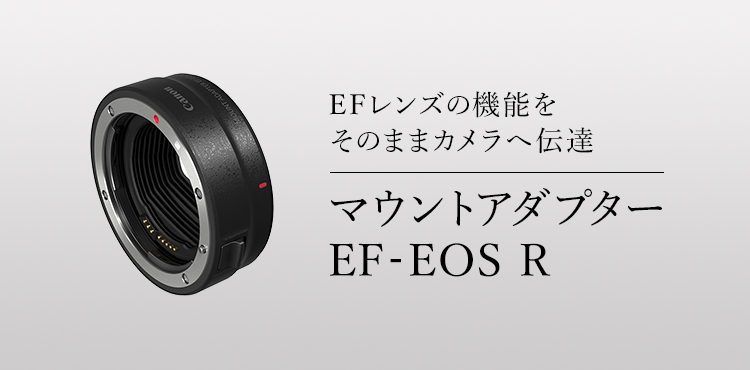 Canon Mount Adapter EF-EOS R