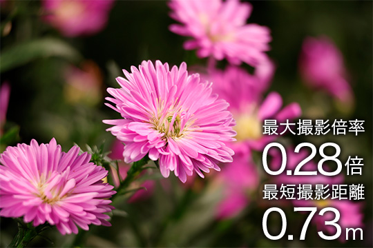 最大撮影倍率0.28倍 最短撮影距離0.73m