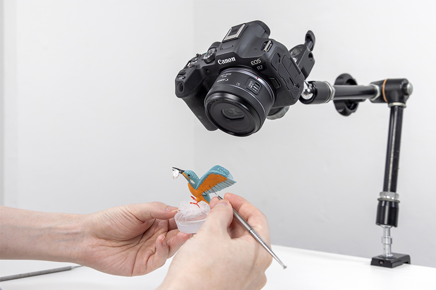 ユースケース RF-S7.8mm F4 STM DUAL：レンズ交換式カメラ