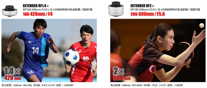 EXTENDER RF1.4× RF100-300mm F2.8 L IS USM装着時の焦点距離 開放F値 140-420mm F4 焦点距離:420mm ISO 200 絞り値:F4.0 シャッター速度:1/2500秒 EXTENDER RF2× RF100-300mm F2.8 L IS USM装着時の焦点距離 開放F値 200-600mm F5.6 焦点距離:600mm ISO 6400 絞り値:F5.6 シャッター速度:1/500秒