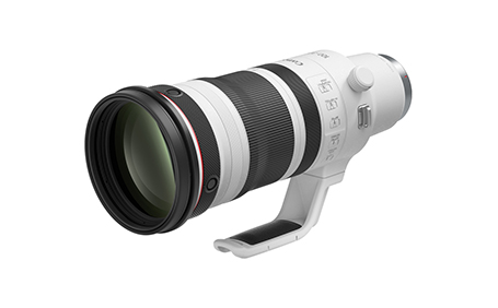 RF100-300mm F2.8 L IS USM