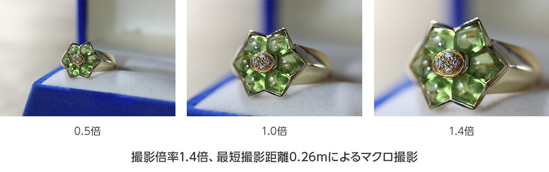 撮影倍率1.4倍、最短撮影距離0.26mによるマクロ撮影 0.5倍 1.0倍 1.4倍