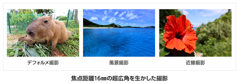 デフォルメ撮影 風景撮影 近接撮影 焦点距離16mmの超広角を生かした撮影