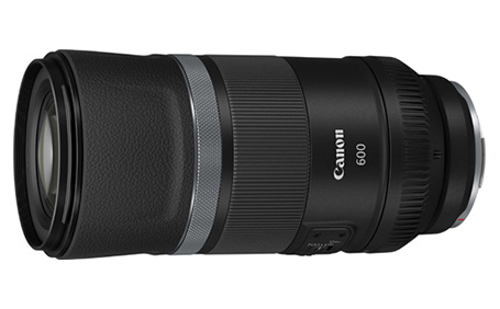 光学美品　Canon RF600mm F11 IS STMキャノン