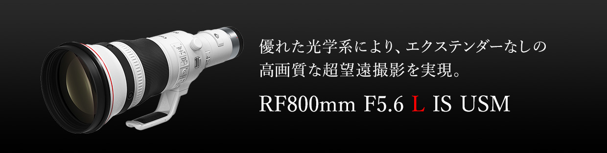 超望遠撮影をサポートする5.5段分のISを搭載。贅沢な光学系と優れた操作性を両立。 RF800mm F5.6 L IS USM
