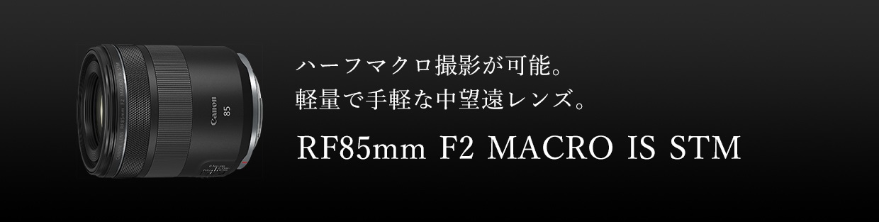 RF85mm F2 MACRO IS STM：レンズ交換式カメラ・レンズ｜個人｜キヤノン