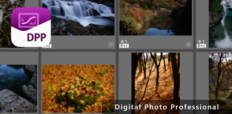Digital Photo Professional:ソフトウエア・アプリ|レンズ交換 Digital Photo Professional:ソフトウエア・アプリ|レンズ交換