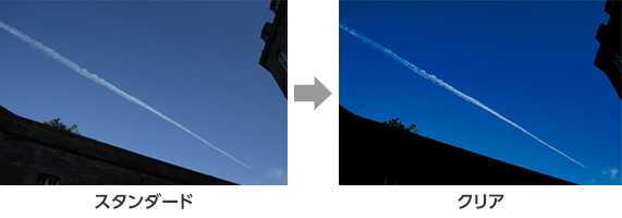 左:スタンダード 右:クリア