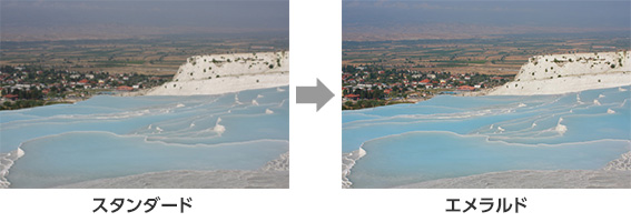 左:スタンダード 右:エメラルド