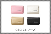 IXY 650m対応ケース