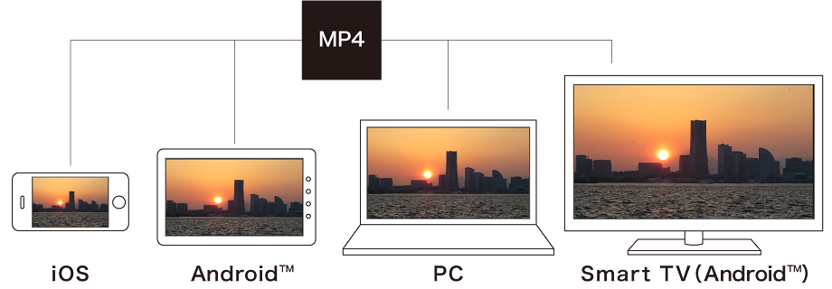 図：MP4 表示デバイス例