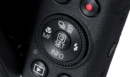 写真:コントローラーホイール