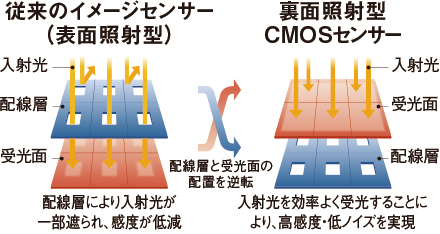 図:高感度センサー概念図