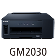 GM2030