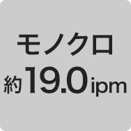 モノクロ約19.0ipm
