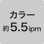カラー 約5.5ipm