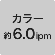 カラー 約6.0ipm