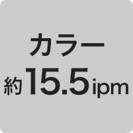 カラー 約15.5ipm