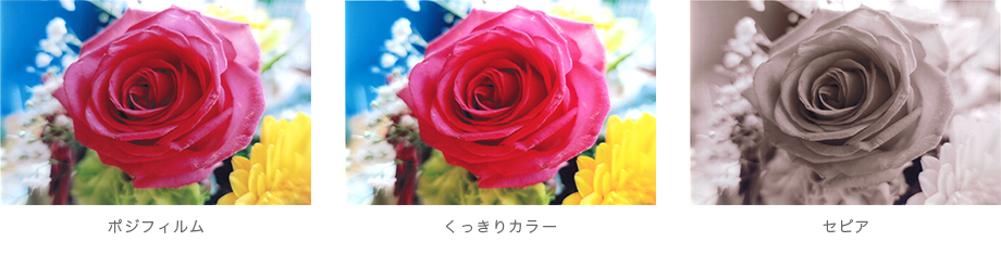 ポジフィルム くっきりカラー セピア