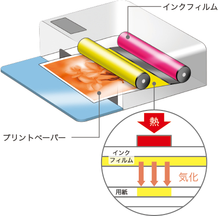 写真:昇華型熱転写方式プリント