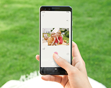 ライブビュー撮影