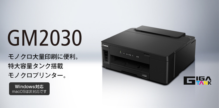 GM2030