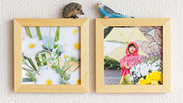 図:ましかく写真