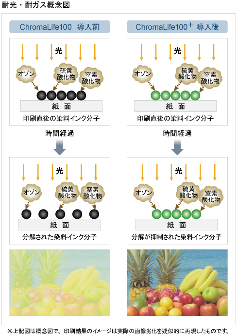 図:耐光・耐ガス概念図