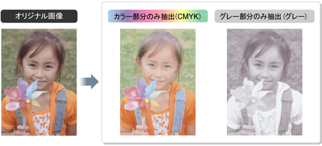 写真:安定した色の再現に効果を発揮します