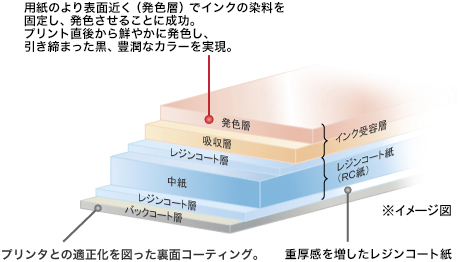 図:発色層…用紙のより表面近く(発色層)でインクの染料を固定し、発色させることに成功。プリント直後から鮮やかに発色し、引き締まった黒、豊潤なカラーを実現。レジンコート紙(RC紙)…重厚感を増したレジンコート紙。バックコート層…プリンタとの適正化を図った裏面コーティング。